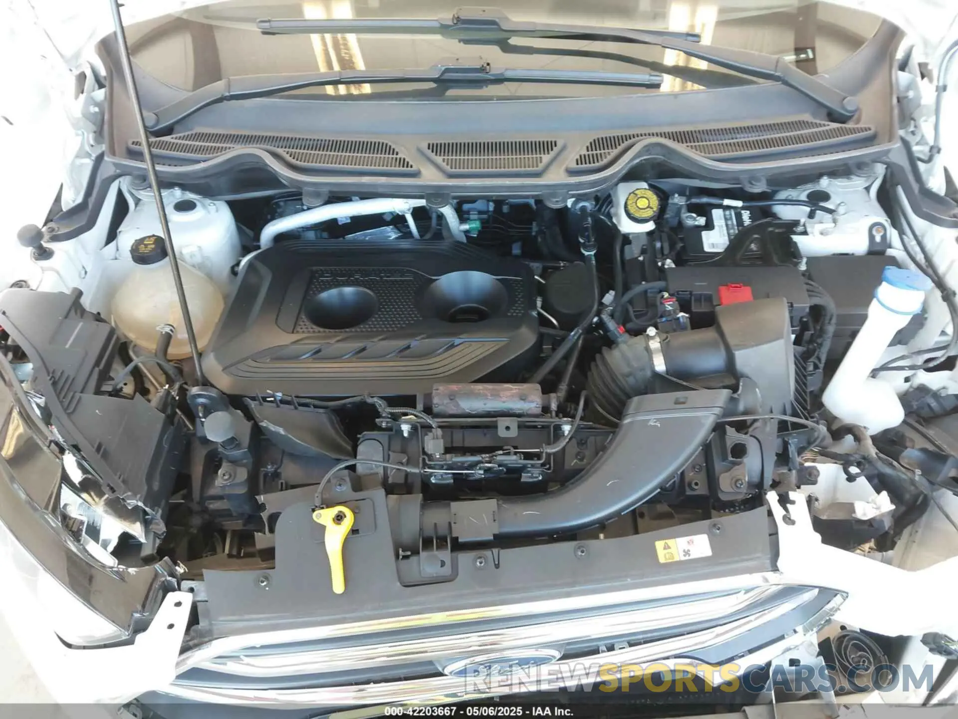 10 Photograph of a damaged car MAJ6S3KL8MC402081 FORD ECOSPORT 2021