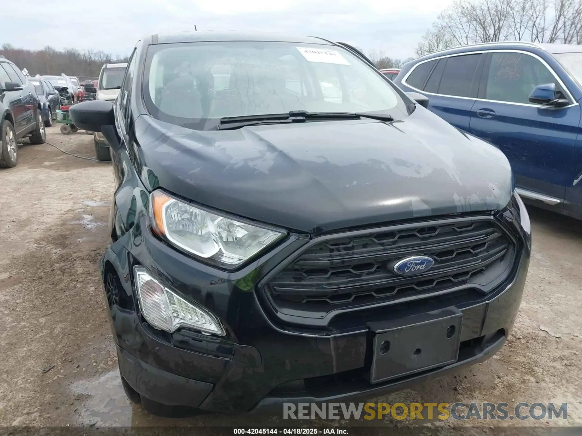 12 Photograph of a damaged car MAJ6S3FL0NC461251 FORD ECOSPORT 2022