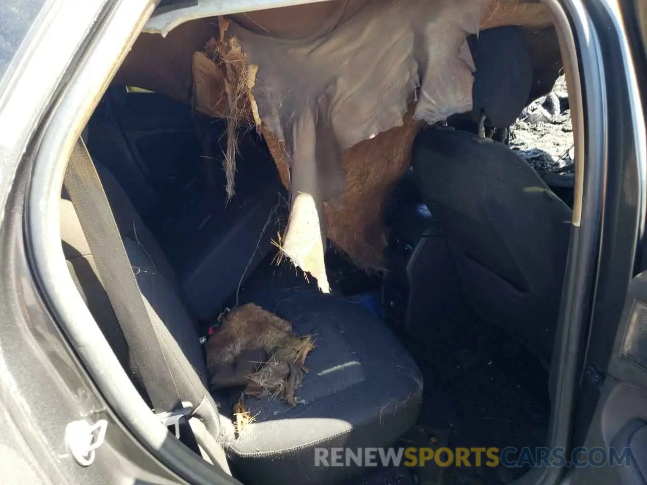 10 Photograph of a damaged car 2FMPK3G96KBB57270 FORD EDGE 2019