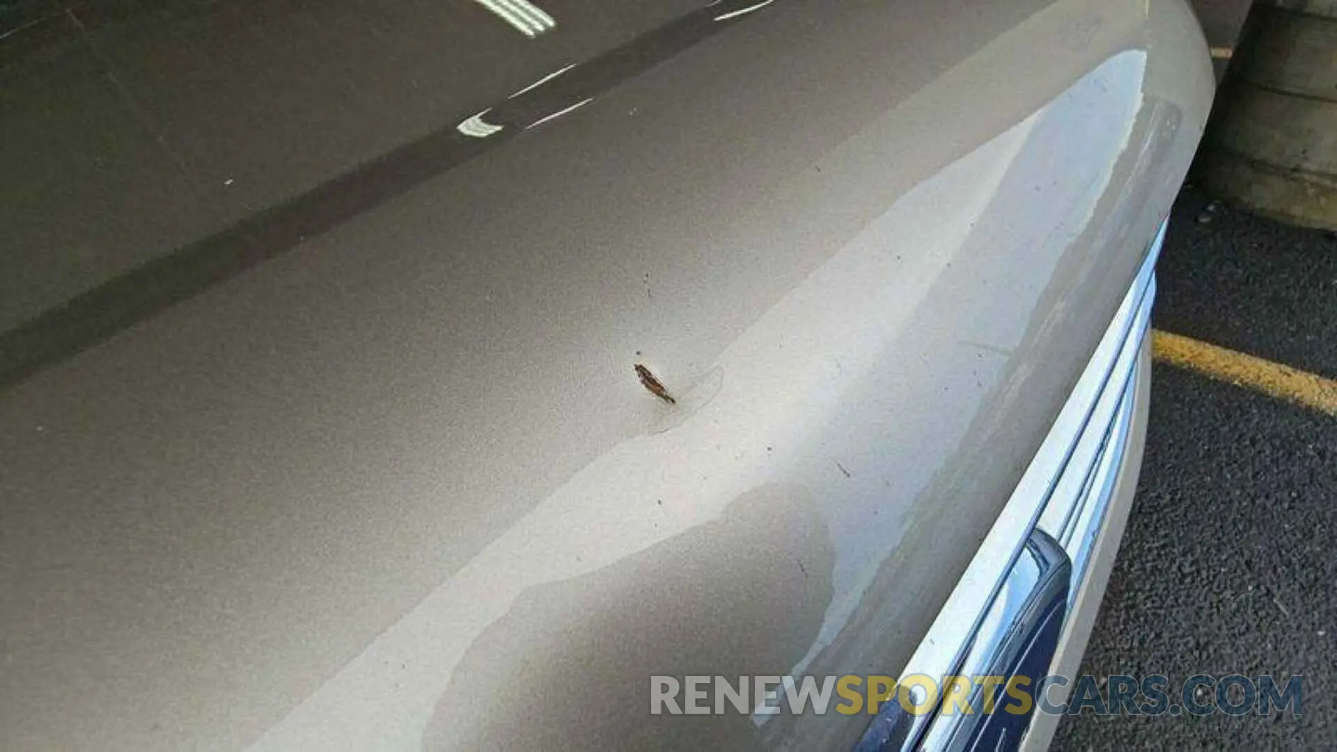 16 Photograph of a damaged car 2FMPK3K96MBA54201 FORD EDGE 2021