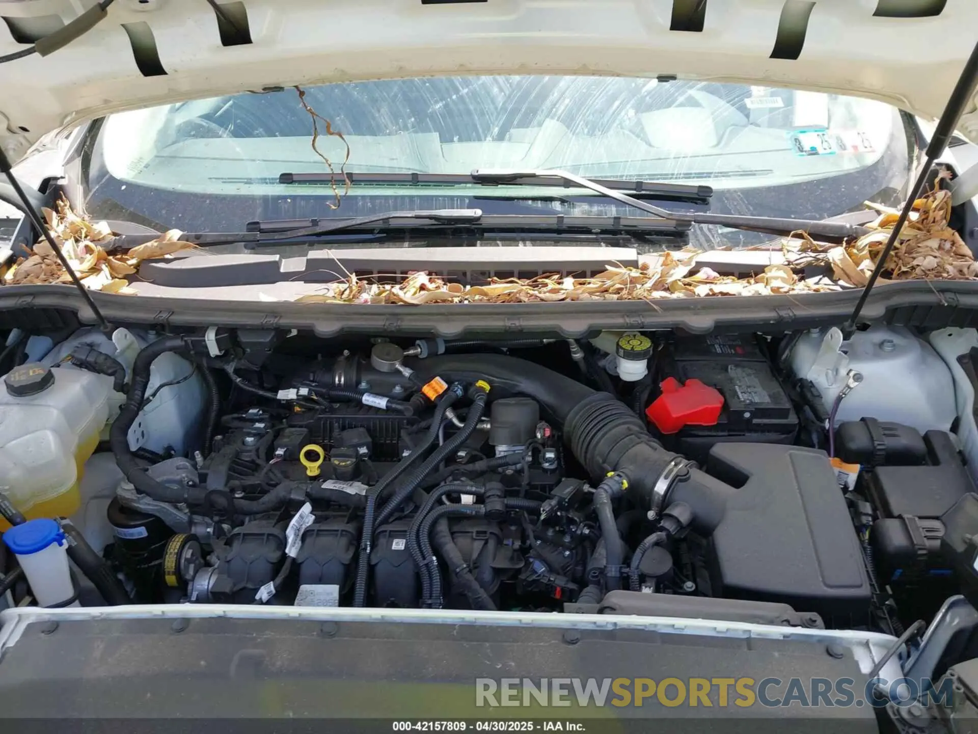 10 Photograph of a damaged car 2FMPK4J96RBA77816 FORD EDGE 2024