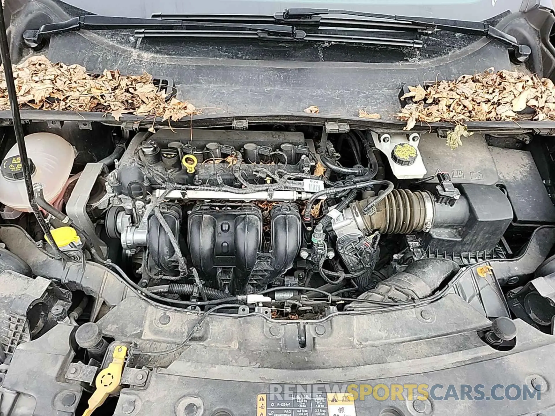 31 Photograph of a damaged car 1FMCU0F76KUB78346 FORD ESCAPE 2019