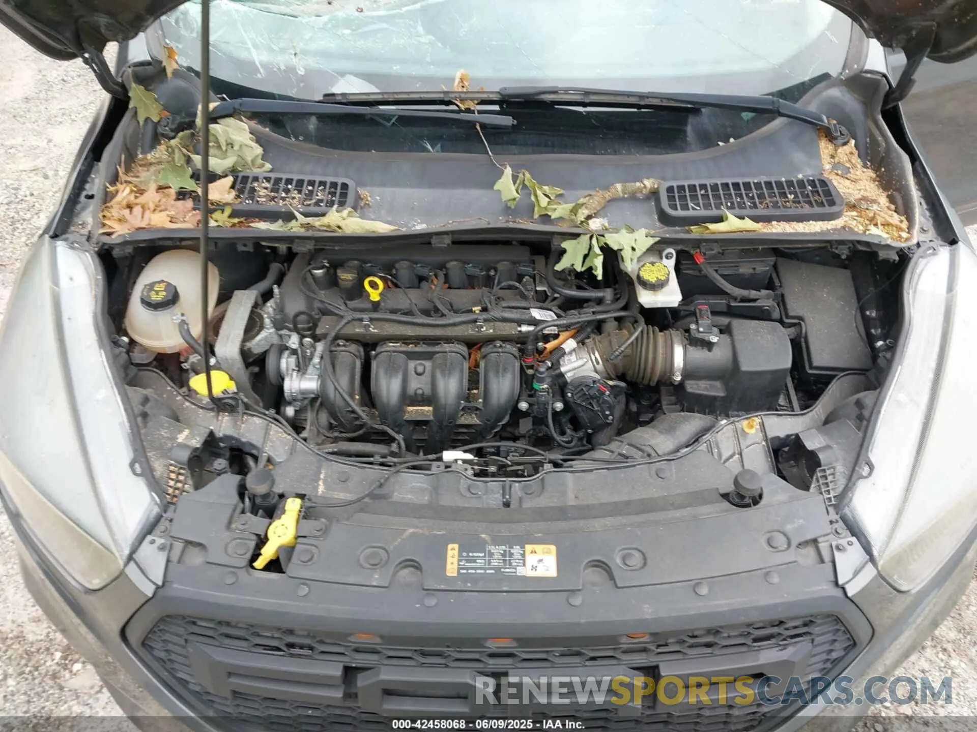 10 Photograph of a damaged car 1FMCU0F77KUA23062 FORD ESCAPE 2019