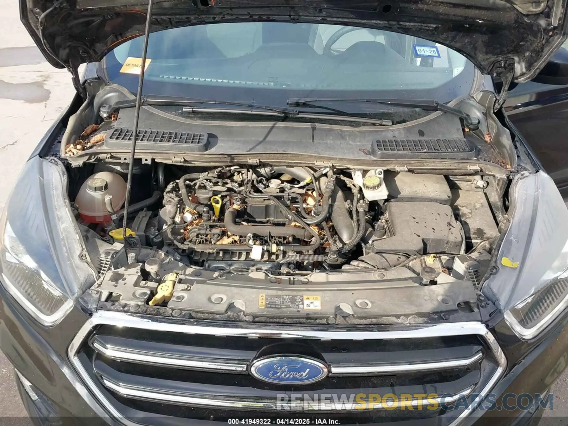 10 Photograph of a damaged car 1FMCU0GD1KUA53503 FORD ESCAPE 2019