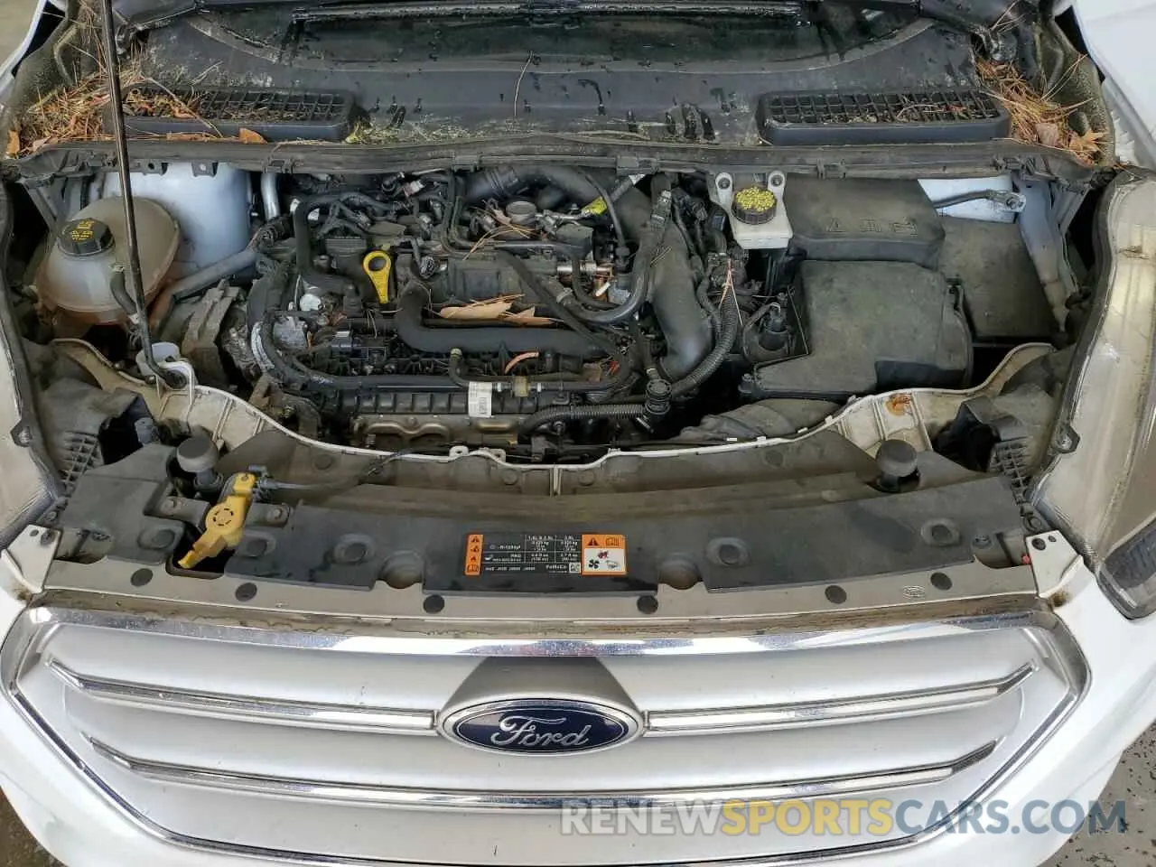 12 Photograph of a damaged car 1FMCU0GD1KUB65606 FORD ESCAPE 2019