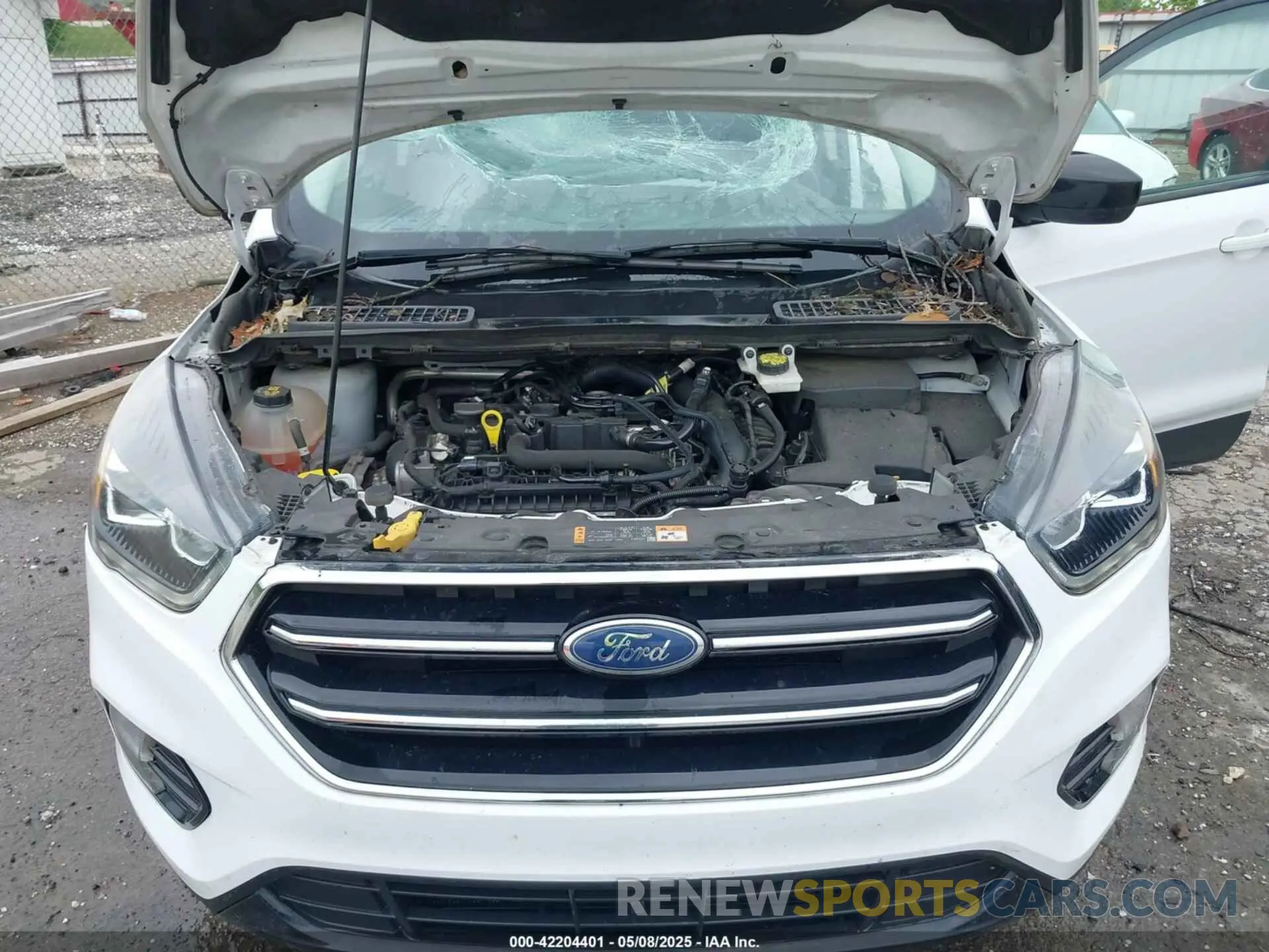 10 Photograph of a damaged car 1FMCU0GD2KUC46050 FORD ESCAPE 2019