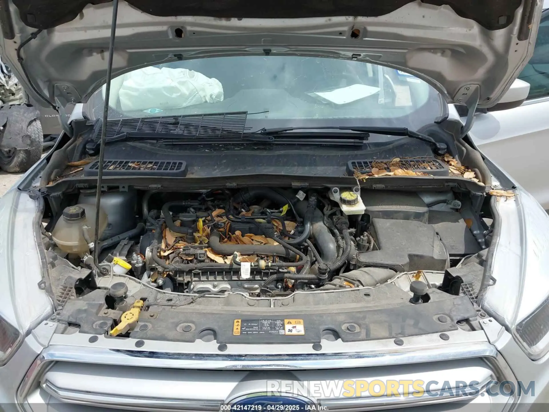 10 Photograph of a damaged car 1FMCU0GD3KUA40915 FORD ESCAPE 2019