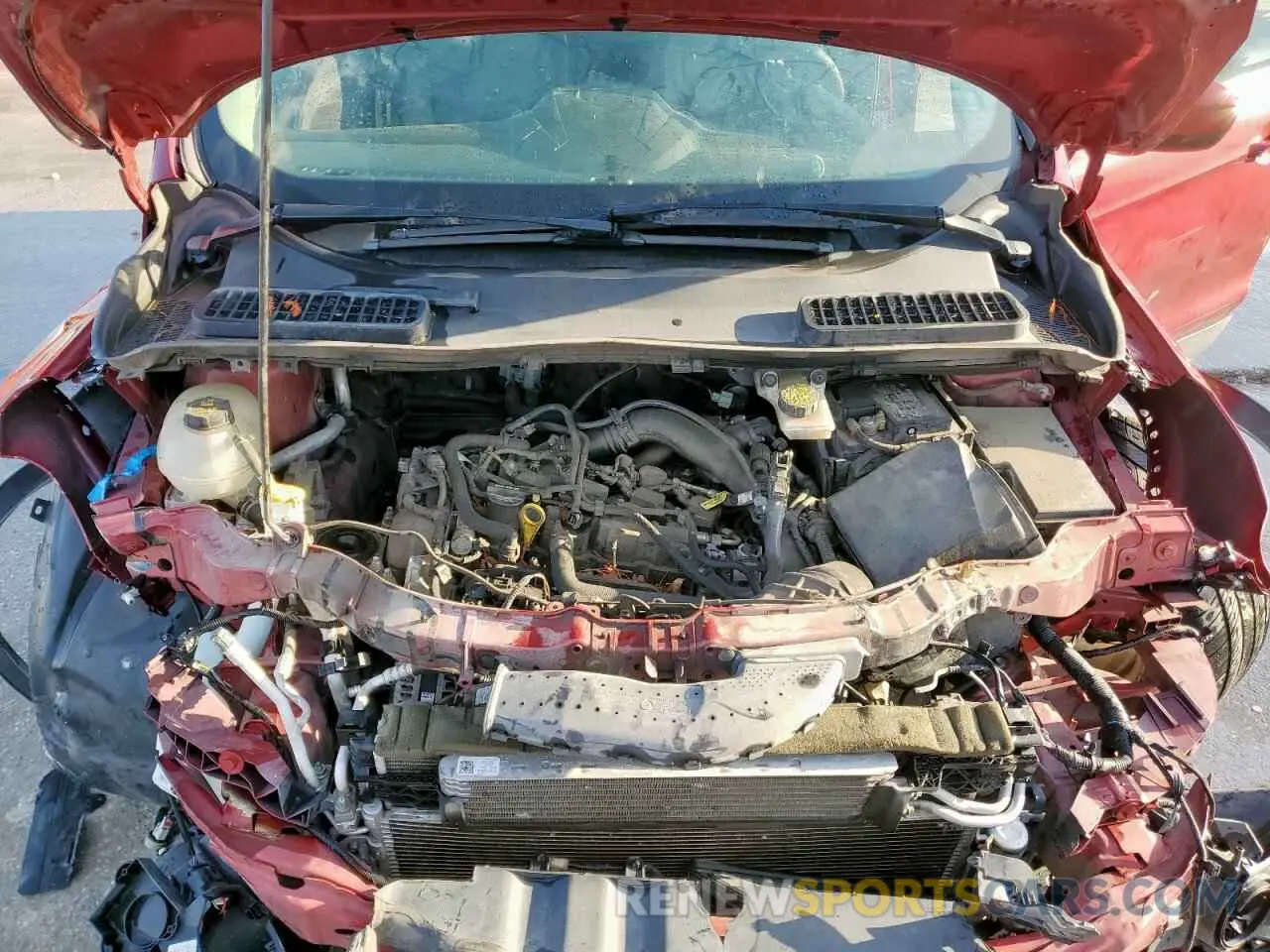 12 Photograph of a damaged car 1FMCU0GD3KUA71131 FORD ESCAPE 2019