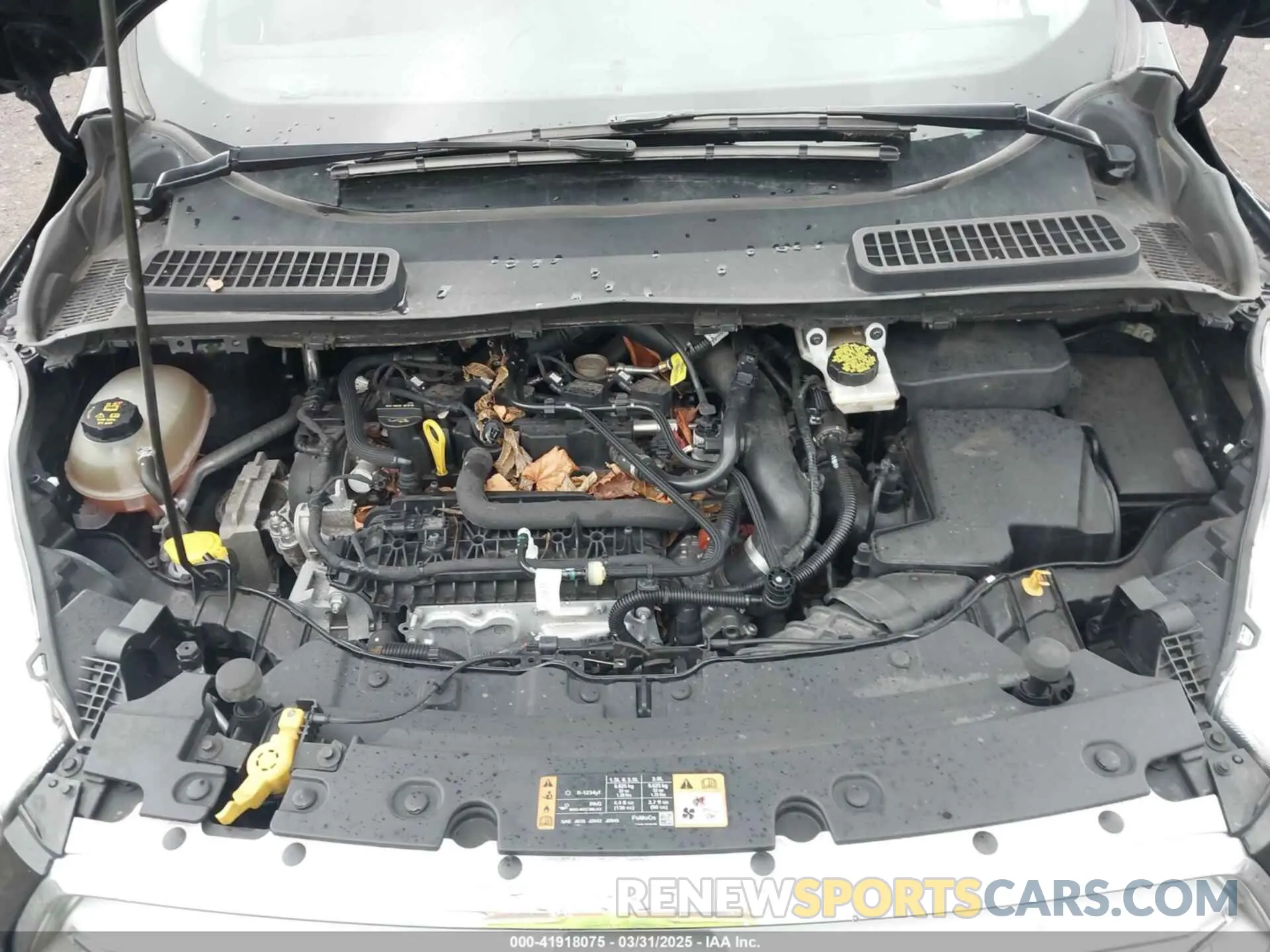 10 Photograph of a damaged car 1FMCU0GD4KUA60347 FORD ESCAPE 2019