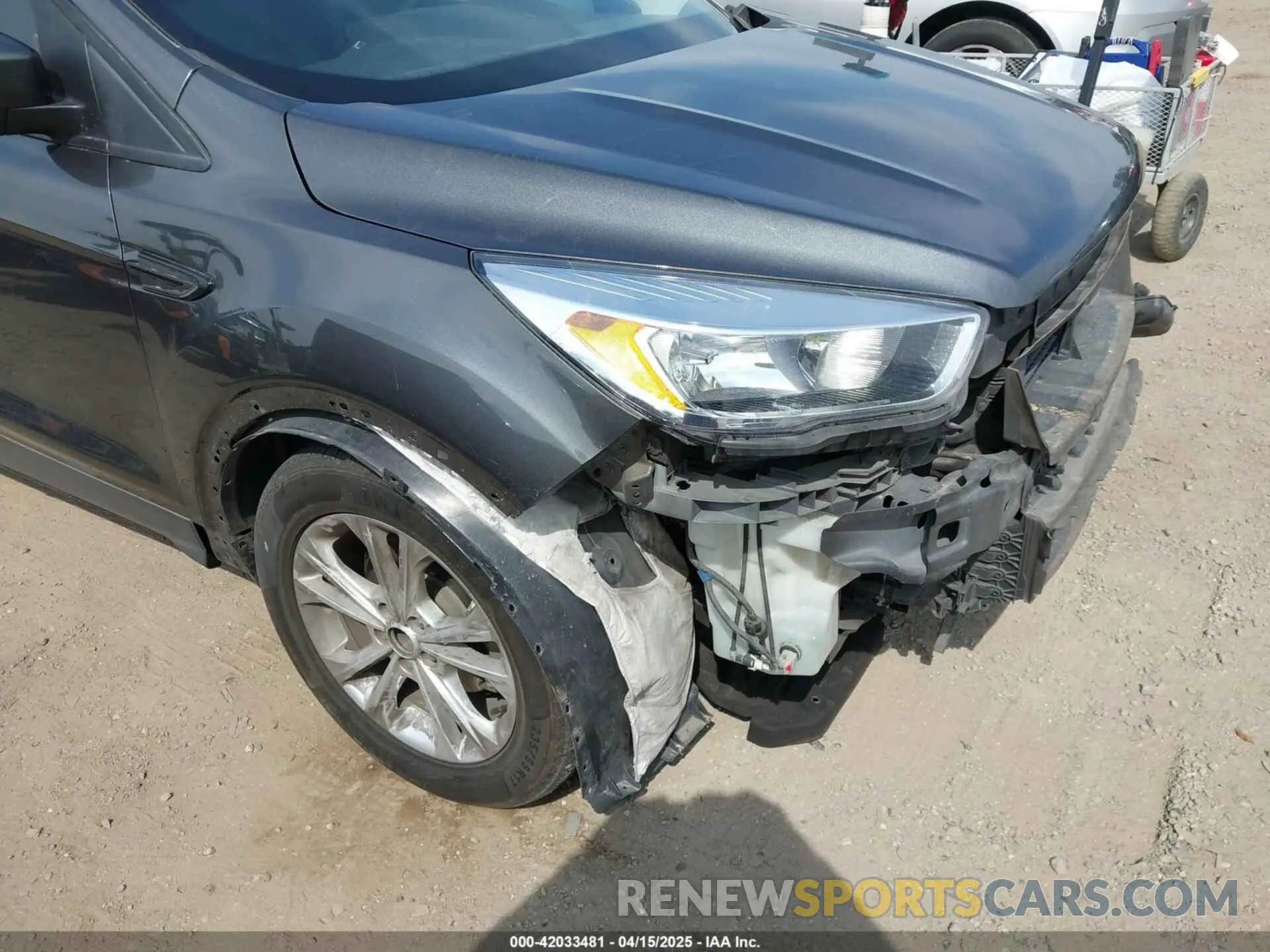 19 Photograph of a damaged car 1FMCU0GD4KUB05626 FORD ESCAPE 2019