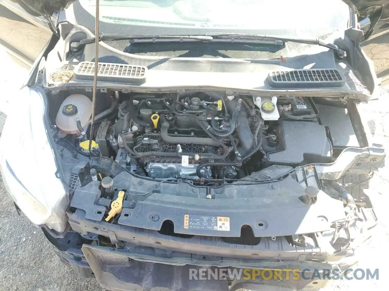 12 Photograph of a damaged car 1FMCU0GD4KUB65082 FORD ESCAPE 2019