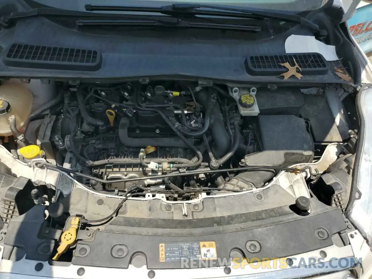 11 Photograph of a damaged car 1FMCU0GD7KUA01891 FORD ESCAPE 2019