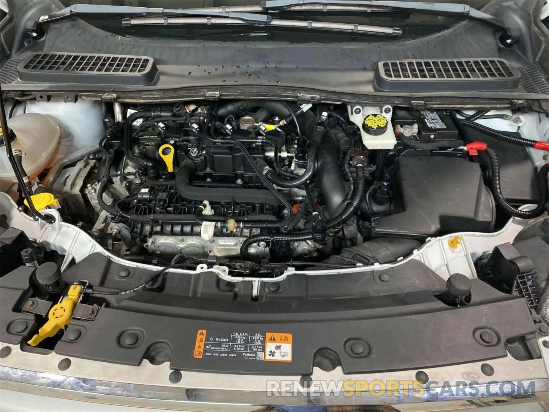 14 Photograph of a damaged car 1FMCU0GD7KUC07700 FORD ESCAPE 2019