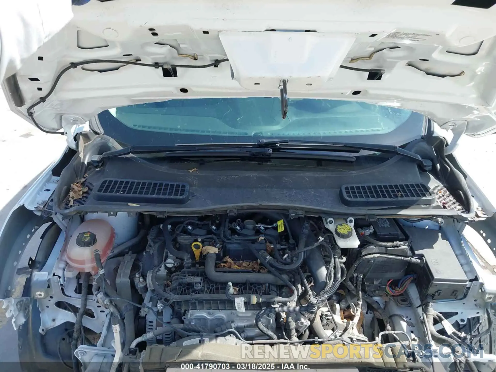 10 Photograph of a damaged car 1FMCU0GDXKUA53726 FORD ESCAPE 2019