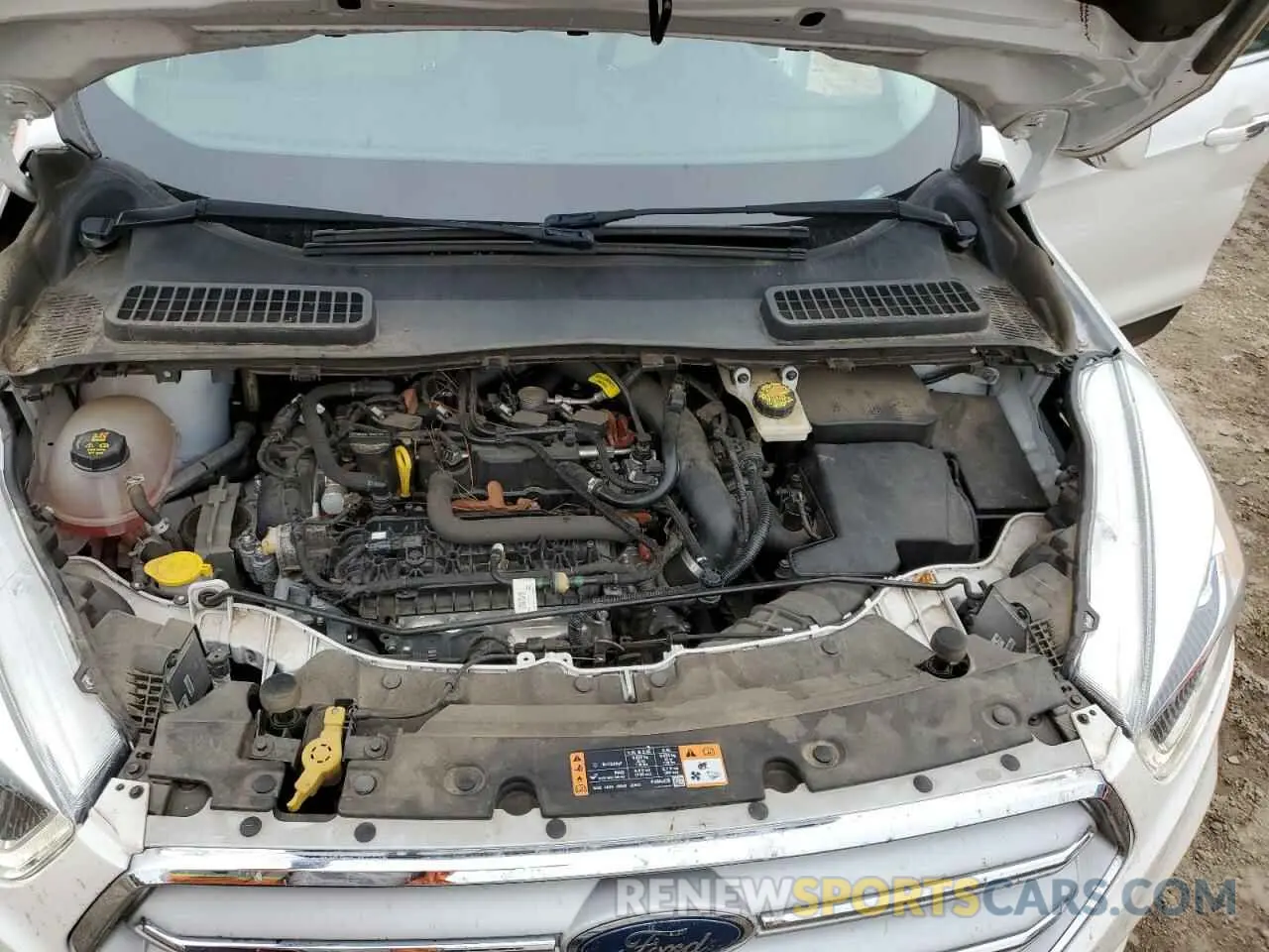 13 Photograph of a damaged car 1FMCU0HD7KUB01438 FORD ESCAPE 2019