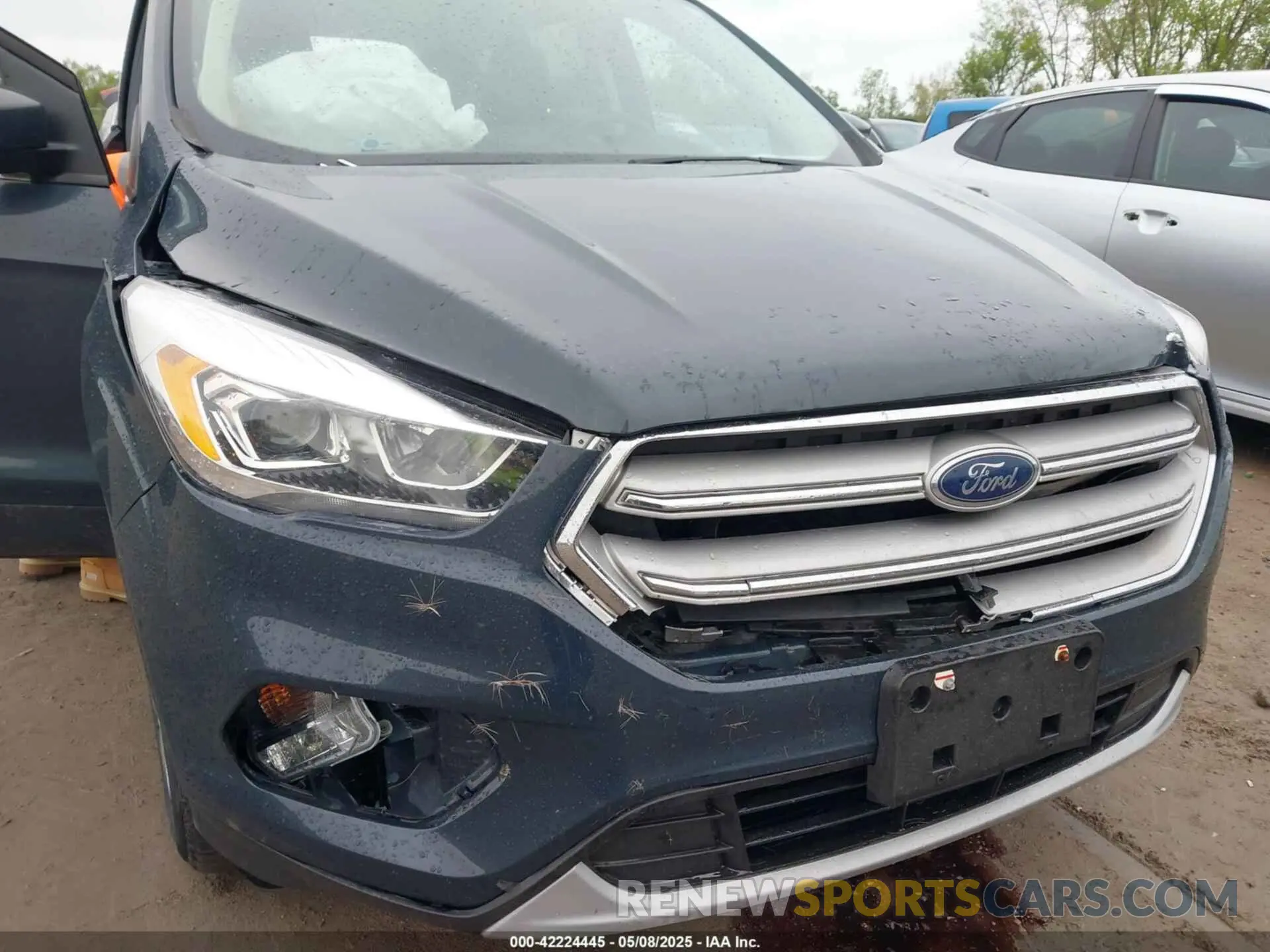 6 Photograph of a damaged car 1FMCU0HD8KUA95939 FORD ESCAPE 2019