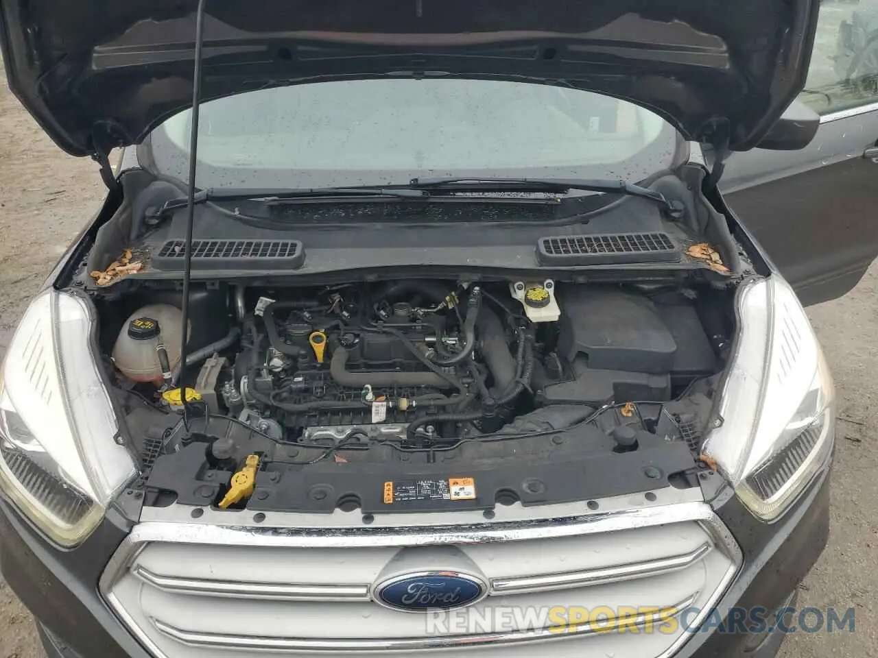 12 Photograph of a damaged car 1FMCU0HD9KUB95001 FORD ESCAPE 2019