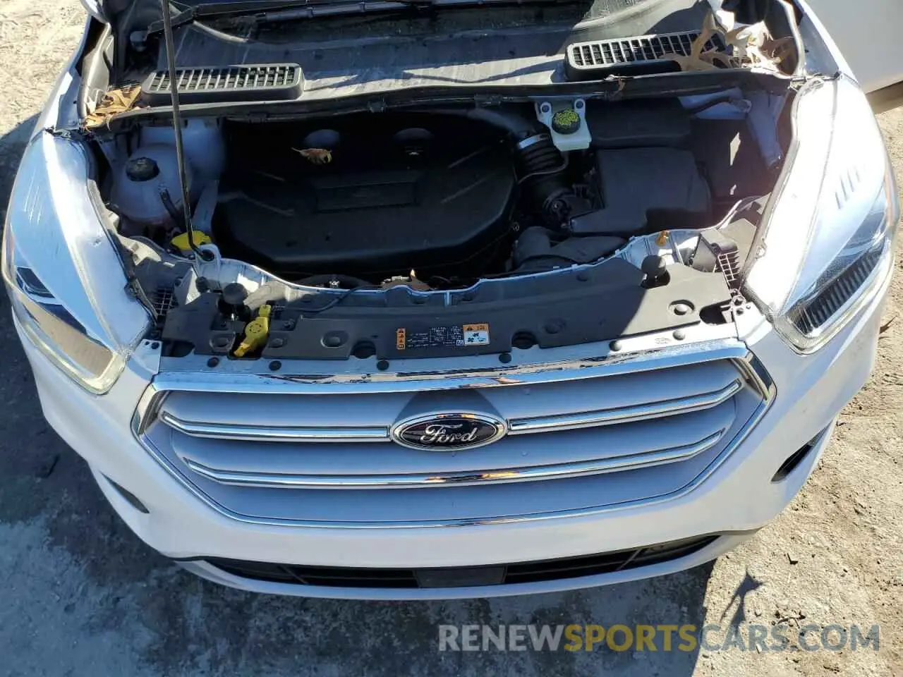 12 Photograph of a damaged car 1FMCU0J94KUA50566 FORD ESCAPE 2019