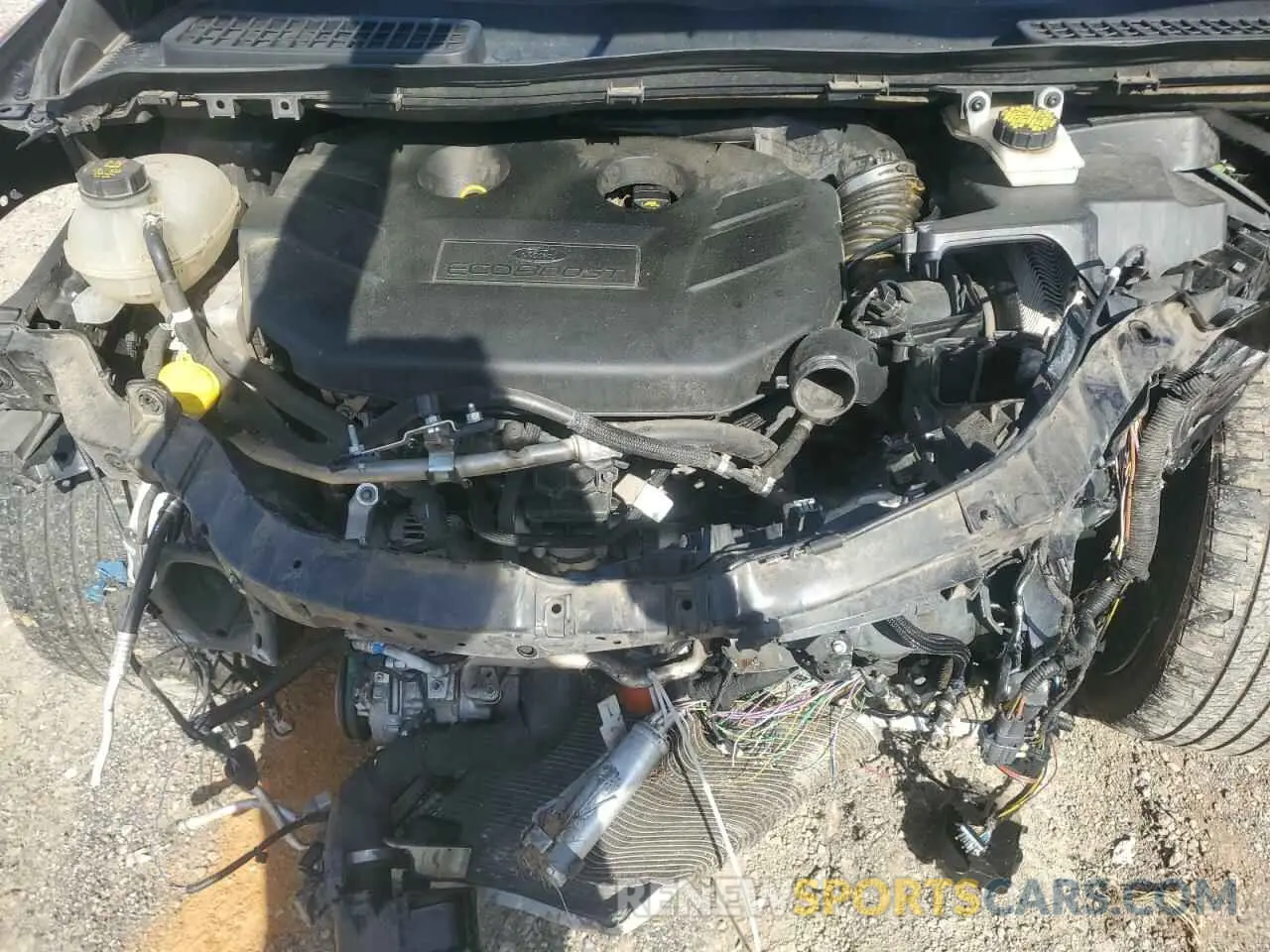 14 Photograph of a damaged car 1FMCU0J99KUB10731 FORD ESCAPE 2019