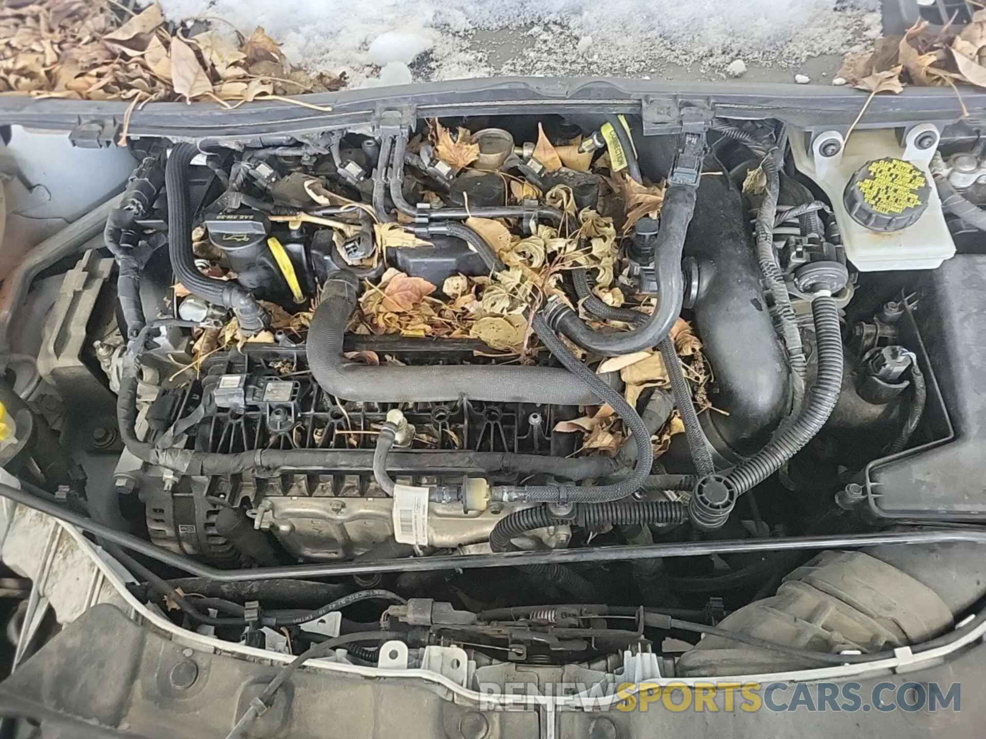 12 Photograph of a damaged car 1FMCU9GD0KUB11878 FORD ESCAPE 2019