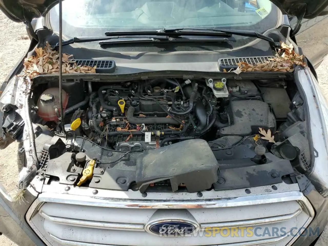 12 Photograph of a damaged car 1FMCU9GD0KUC17800 FORD ESCAPE 2019