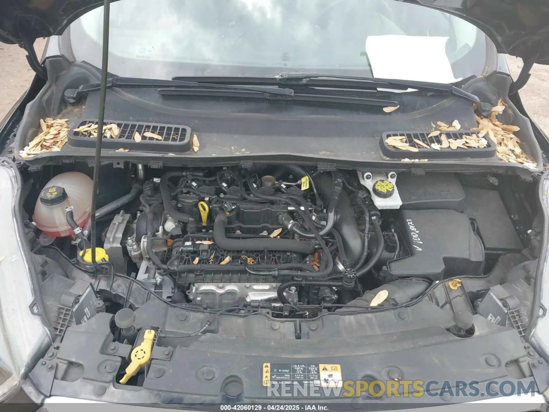 10 Photograph of a damaged car 1FMCU9GD1KUA64828 FORD ESCAPE 2019