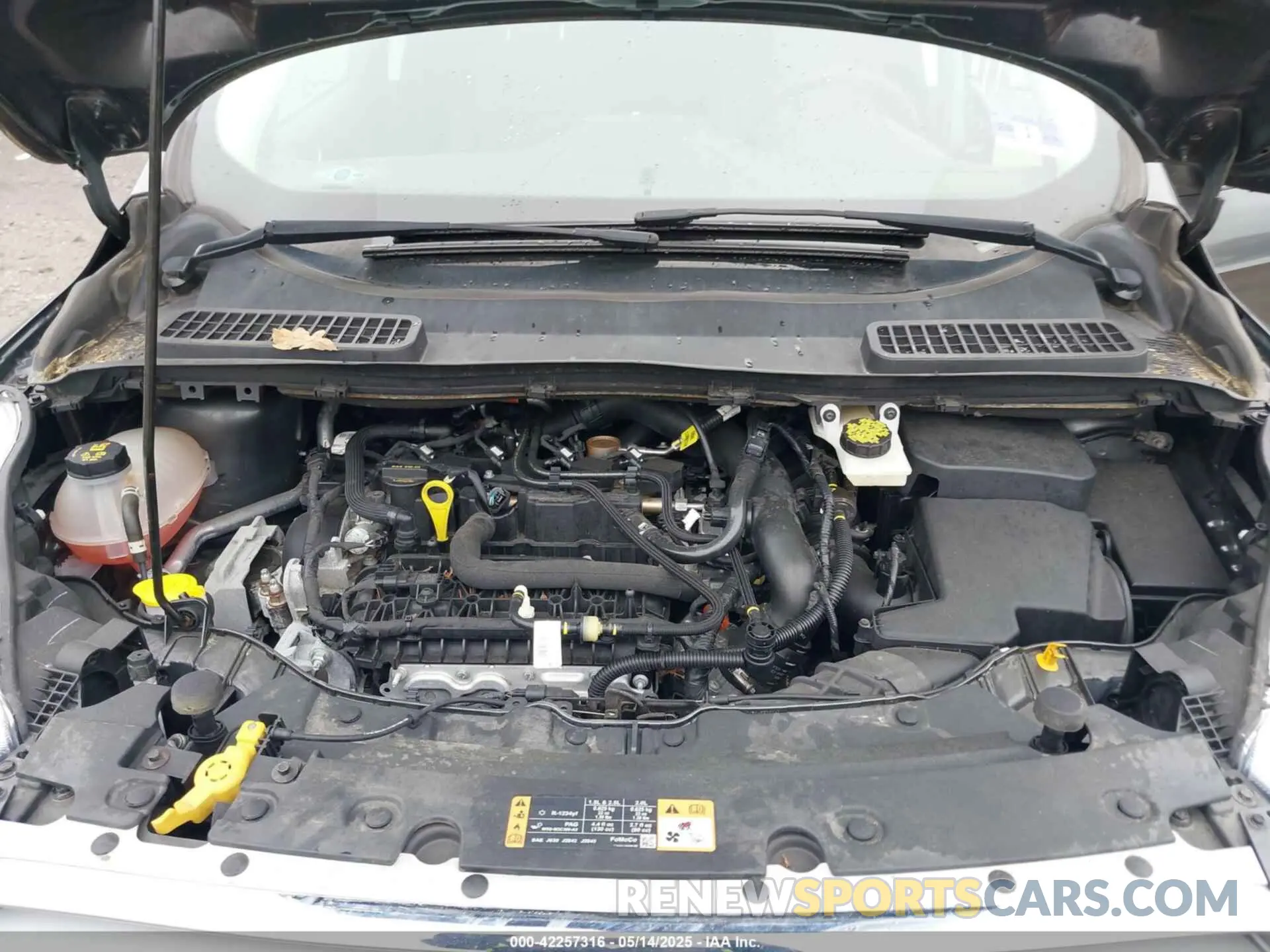 10 Photograph of a damaged car 1FMCU9GD3KUA67083 FORD ESCAPE 2019
