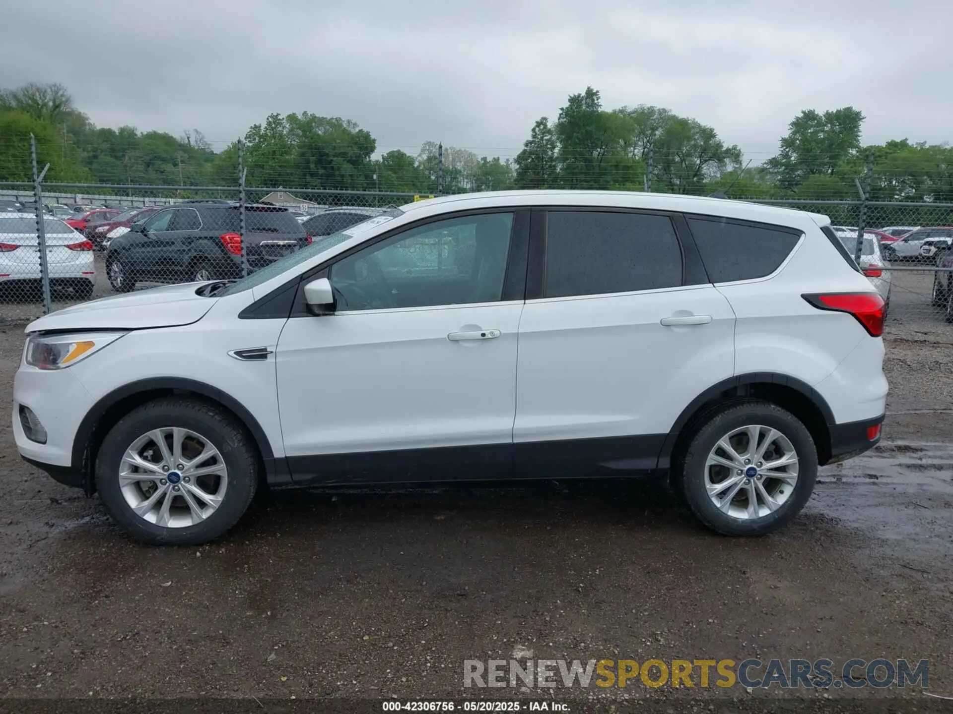14 Photograph of a damaged car 1FMCU9GD4KUA65732 FORD ESCAPE 2019