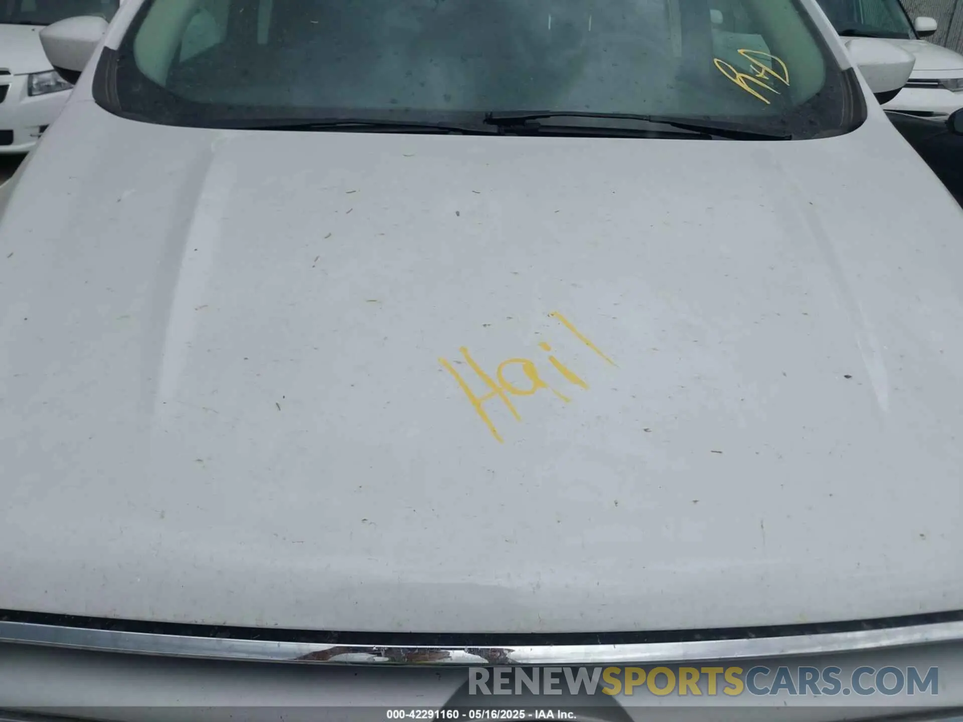 6 Photograph of a damaged car 1FMCU9GD4KUB31356 FORD ESCAPE 2019