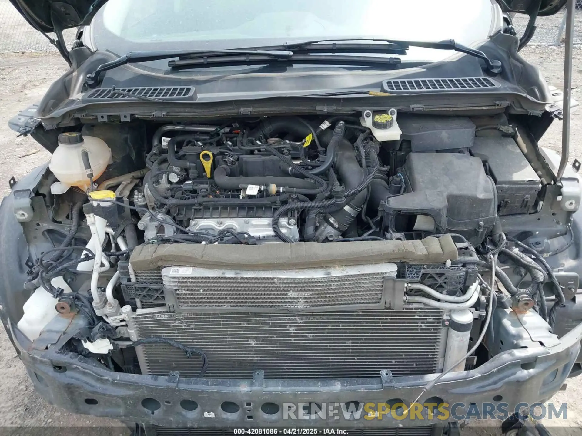 10 Photograph of a damaged car 1FMCU9GD4KUB44754 FORD ESCAPE 2019