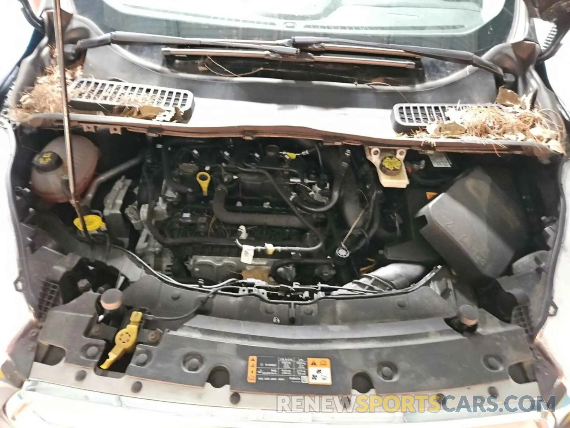31 Photograph of a damaged car 1FMCU9GD8KUC07497 FORD ESCAPE 2019