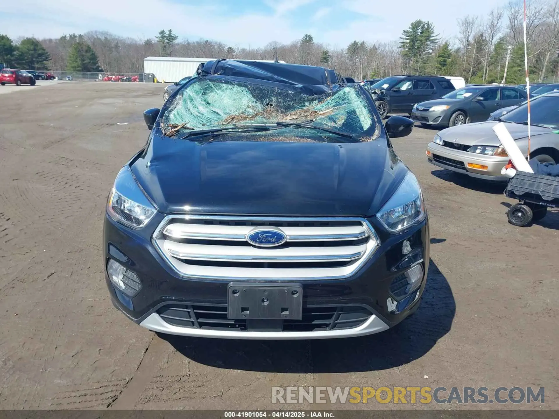 12 Photograph of a damaged car 1FMCU9GD9KUA66049 FORD ESCAPE 2019