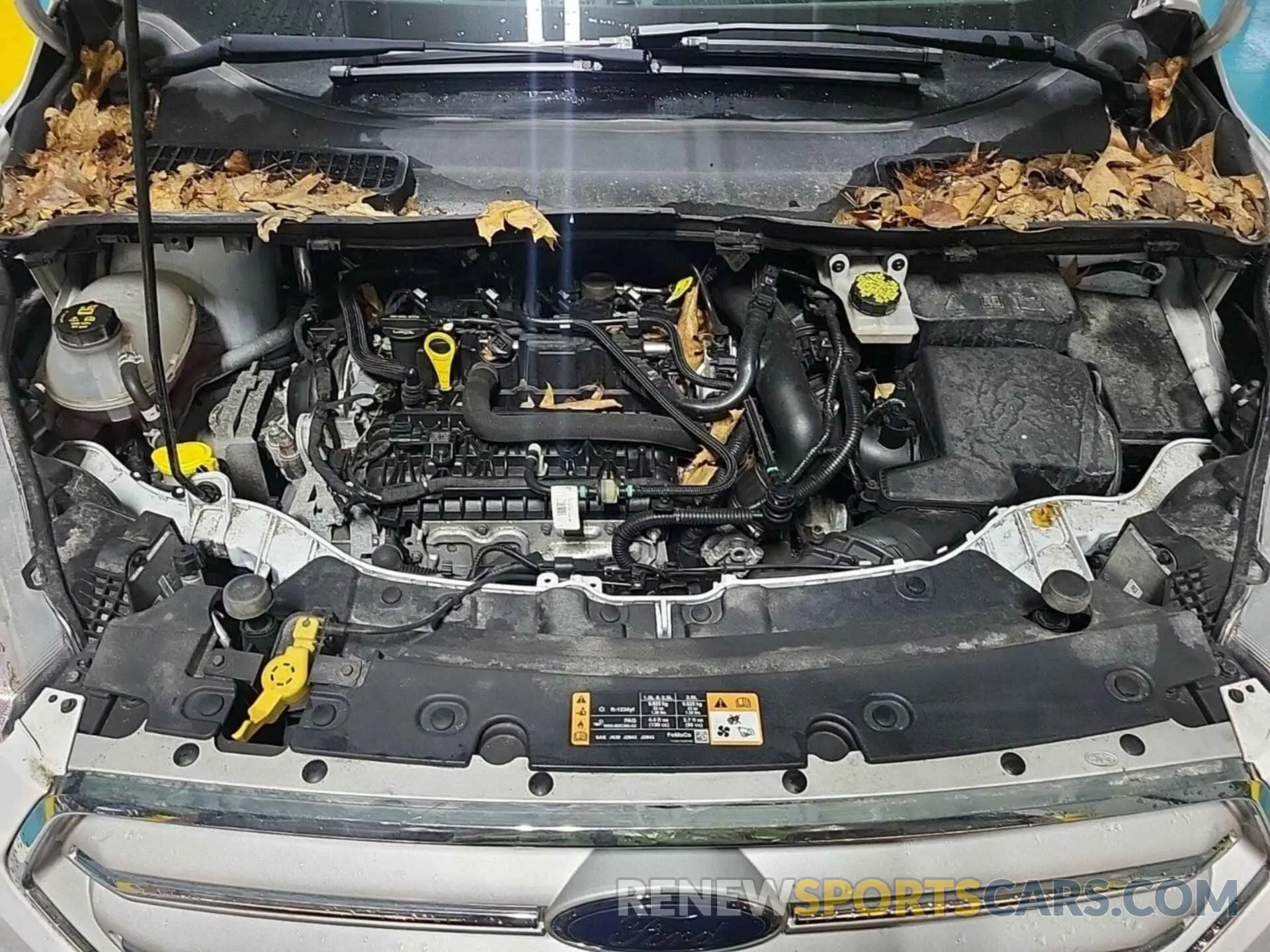 13 Photograph of a damaged car 1FMCU9HD0KUA48764 FORD ESCAPE 2019