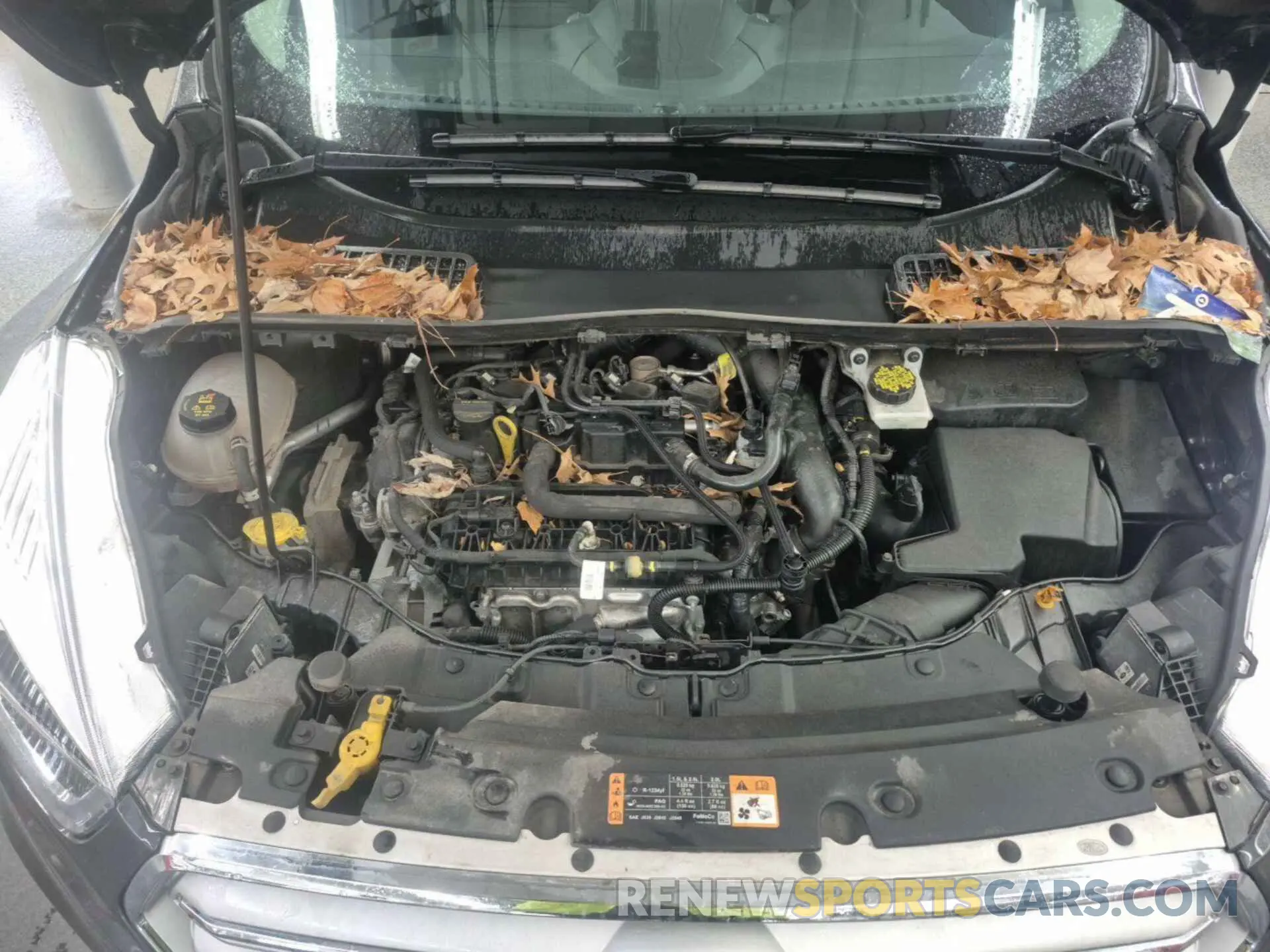 14 Photograph of a damaged car 1FMCU9HD2KUA65596 FORD ESCAPE 2019