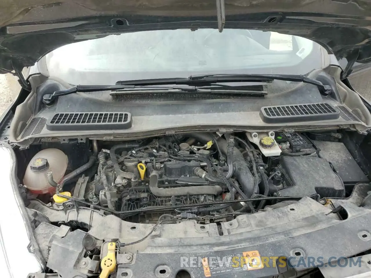 14 Photograph of a damaged car 1FMCU9HD8KUB02585 FORD ESCAPE 2019