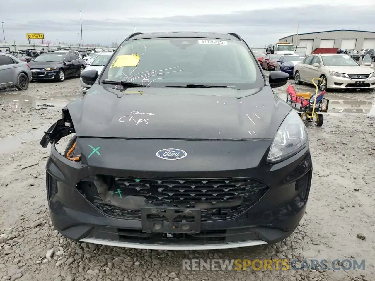 5 Photograph of a damaged car 1FMCU0BZ0LUB48929 FORD ESCAPE 2020