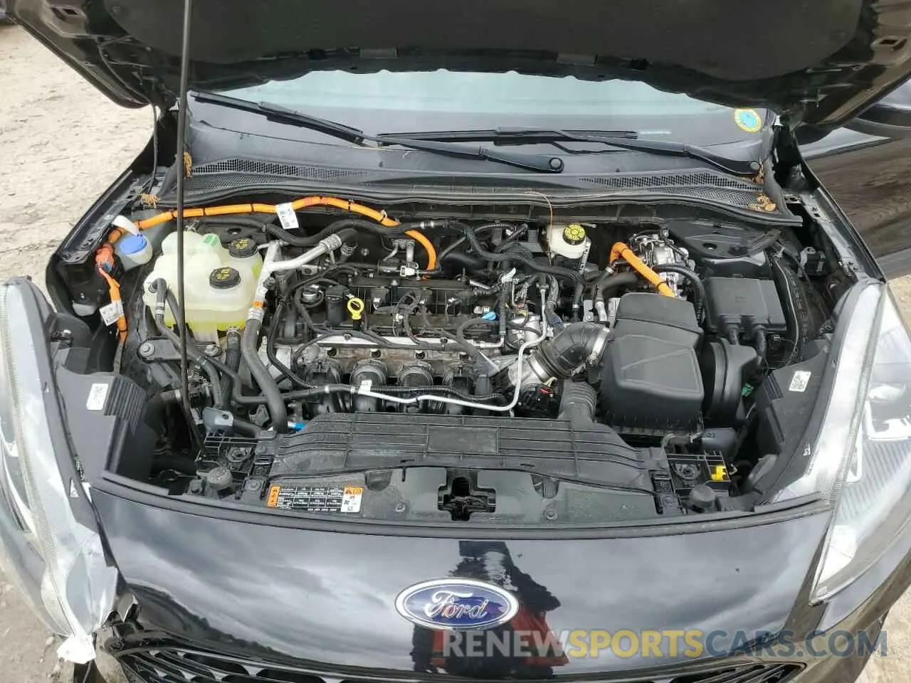 12 Photograph of a damaged car 1FMCU0BZ2LUB13387 FORD ESCAPE 2020