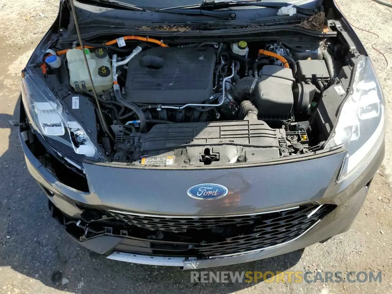 12 Photograph of a damaged car 1FMCU0DZ5LUA68913 FORD ESCAPE 2020
