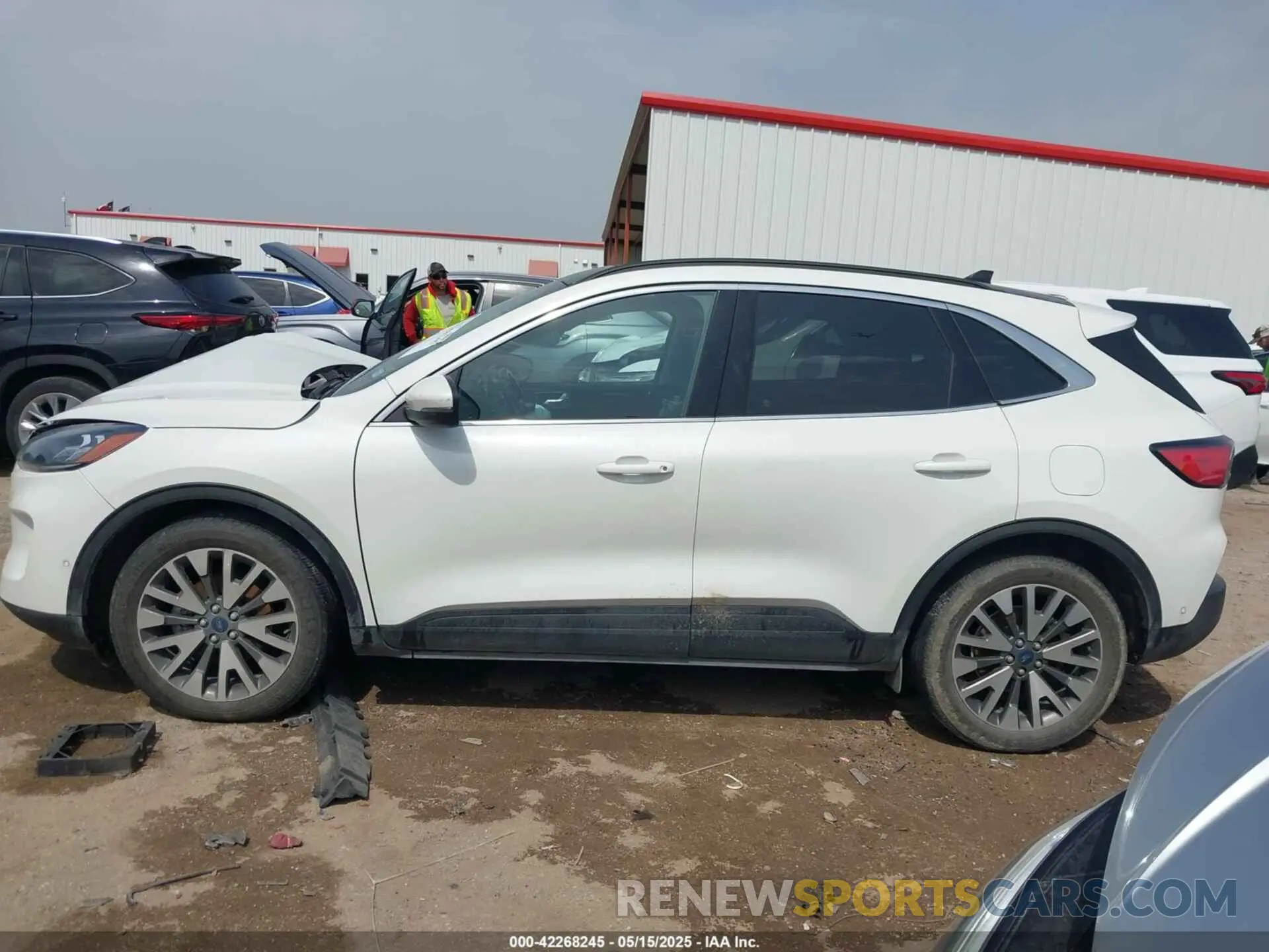 14 Photograph of a damaged car 1FMCU0DZ9LUA54867 FORD ESCAPE 2020