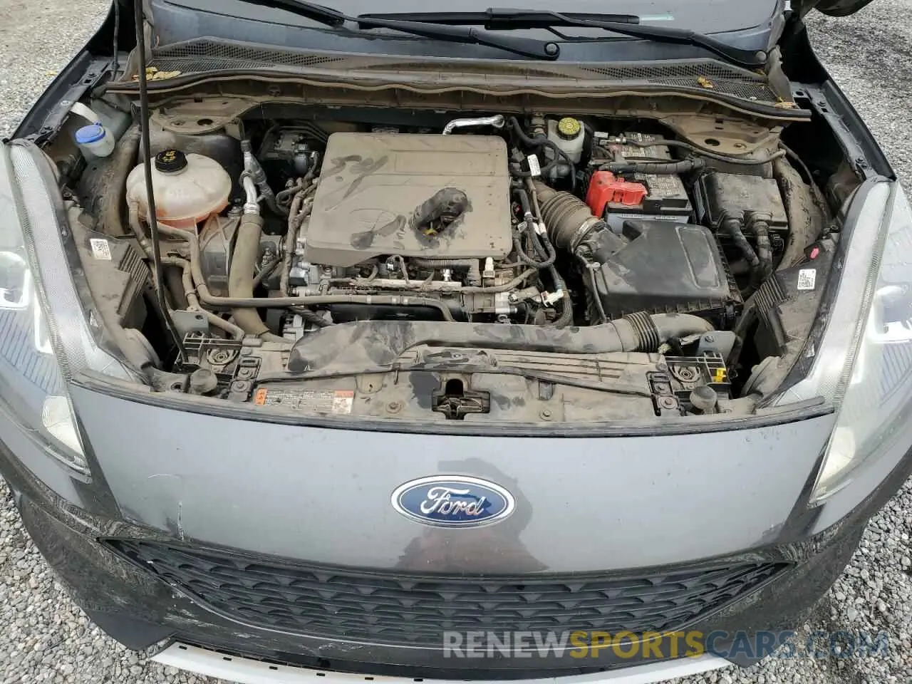 12 Photograph of a damaged car 1FMCU0F62LUA35726 FORD ESCAPE 2020