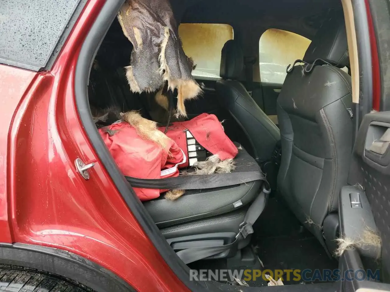 11 Photograph of a damaged car 1FMCU0G60LUA67508 FORD ESCAPE 2020