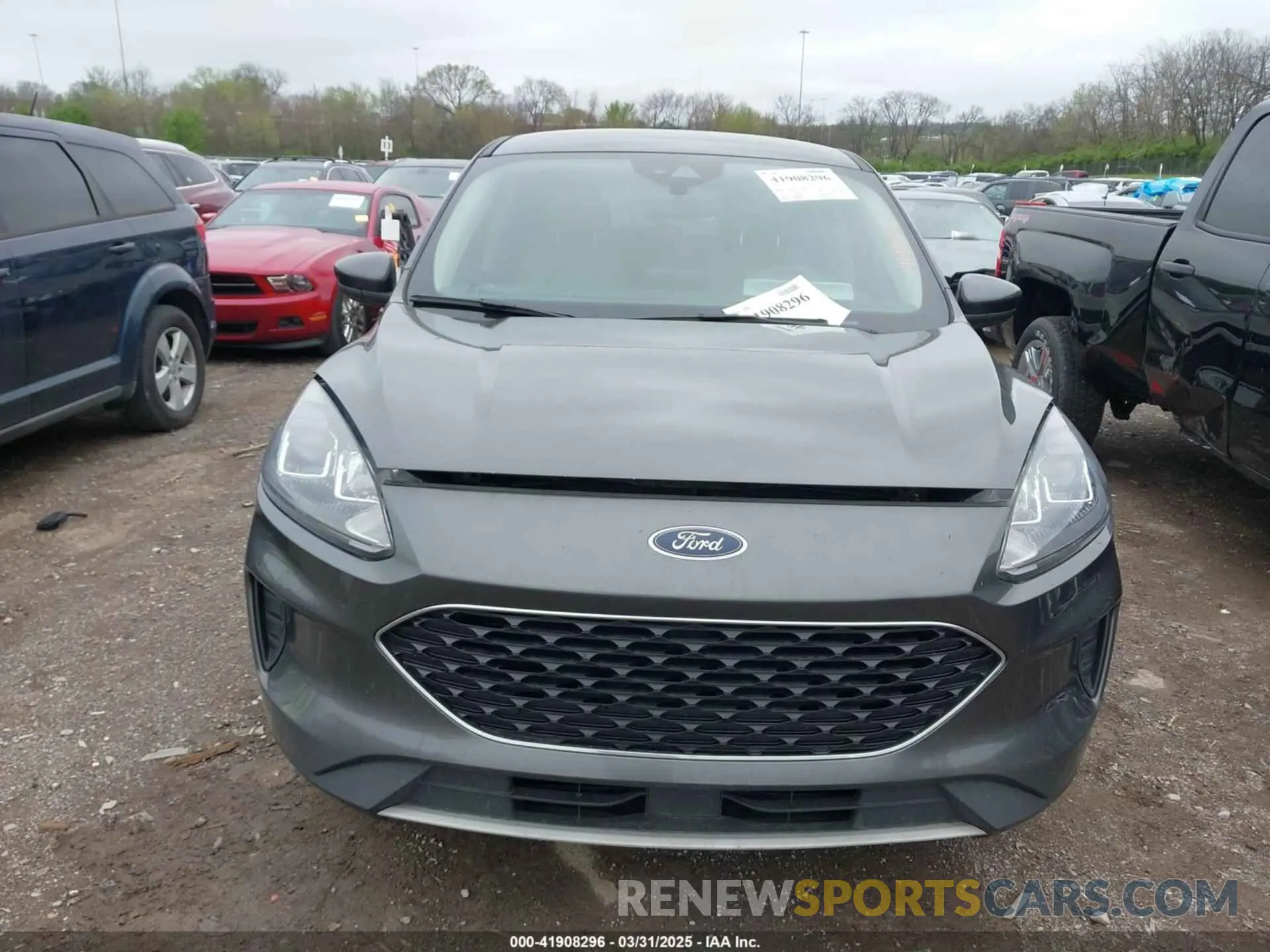 11 Photograph of a damaged car 1FMCU0G60LUA68318 FORD ESCAPE 2020