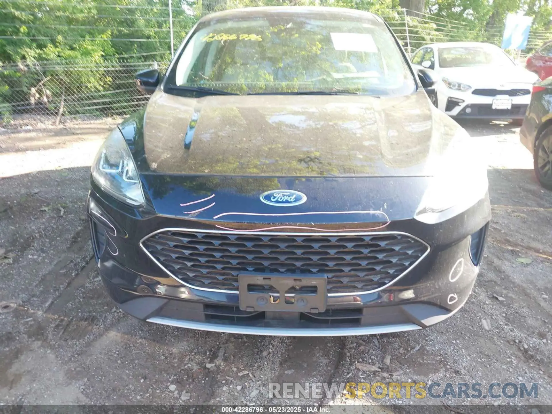 13 Photograph of a damaged car 1FMCU0G61LUA29107 FORD ESCAPE 2020