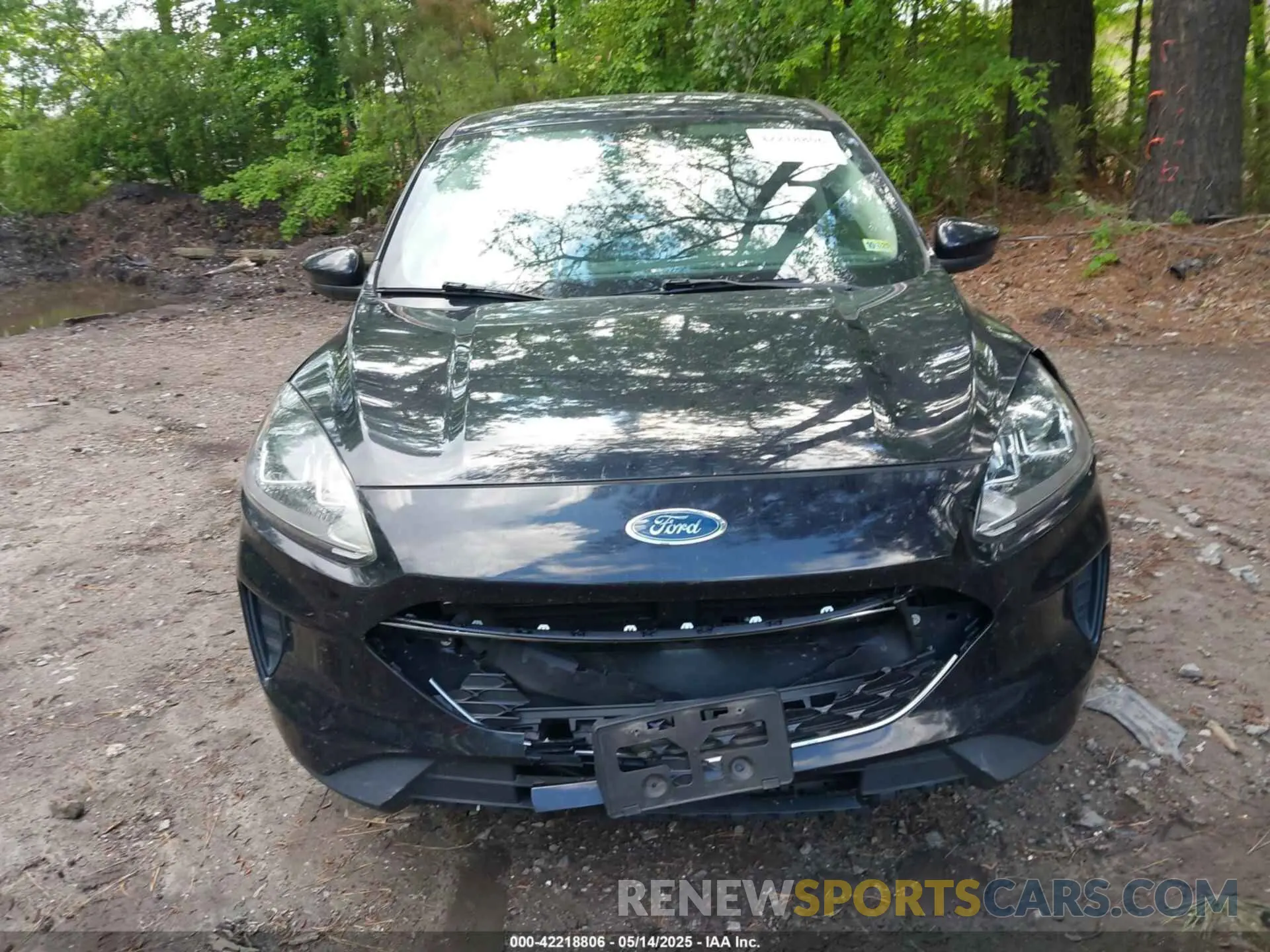 12 Photograph of a damaged car 1FMCU0G62LUC04223 FORD ESCAPE 2020