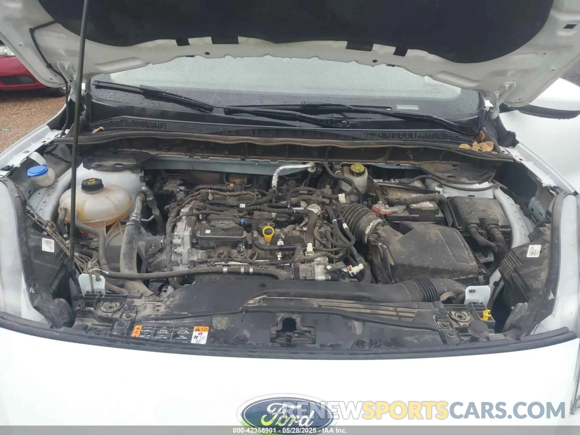 10 Photograph of a damaged car 1FMCU0G64LUC21606 FORD ESCAPE 2020