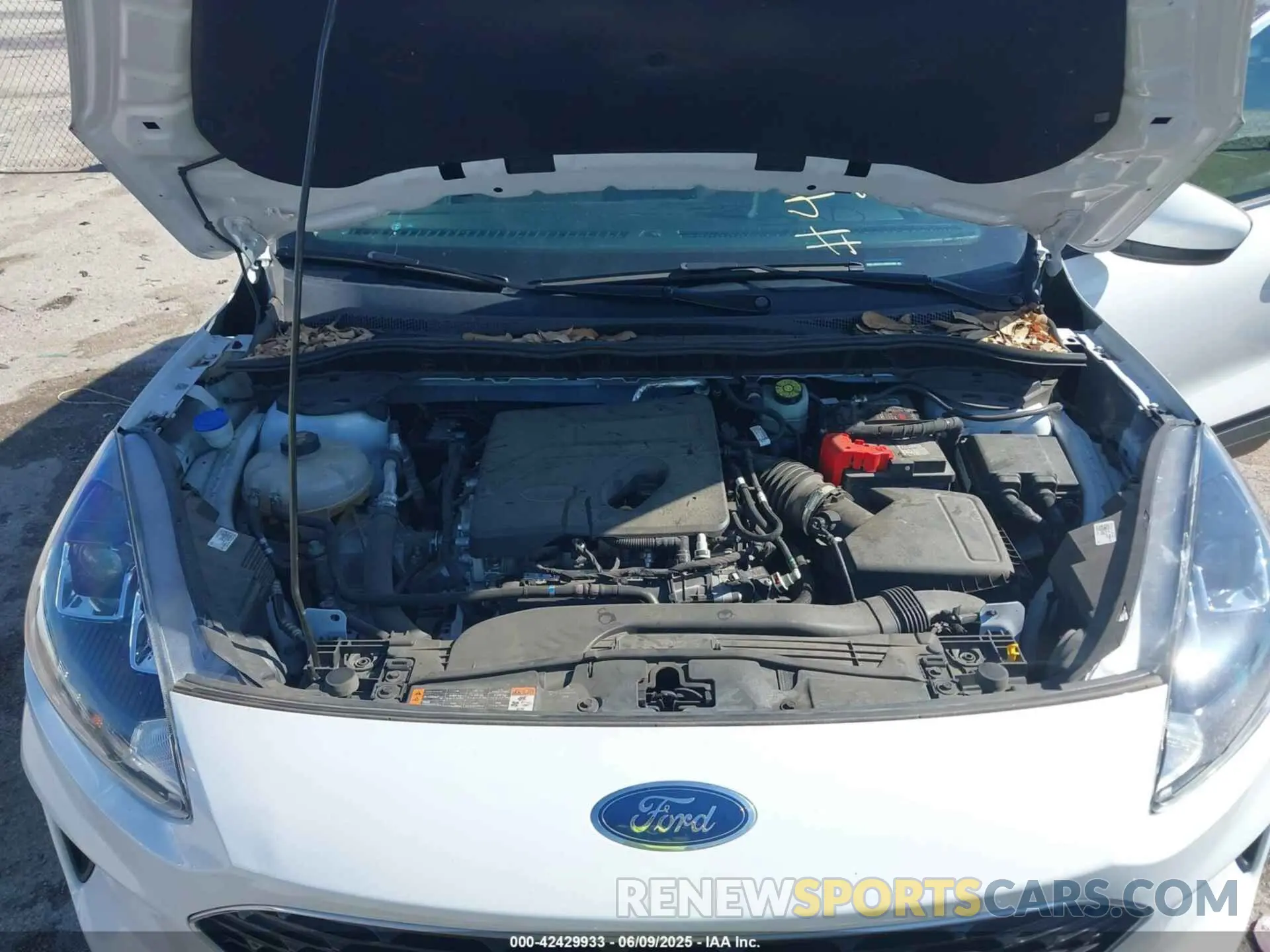10 Photograph of a damaged car 1FMCU0G67LUB02996 FORD ESCAPE 2020