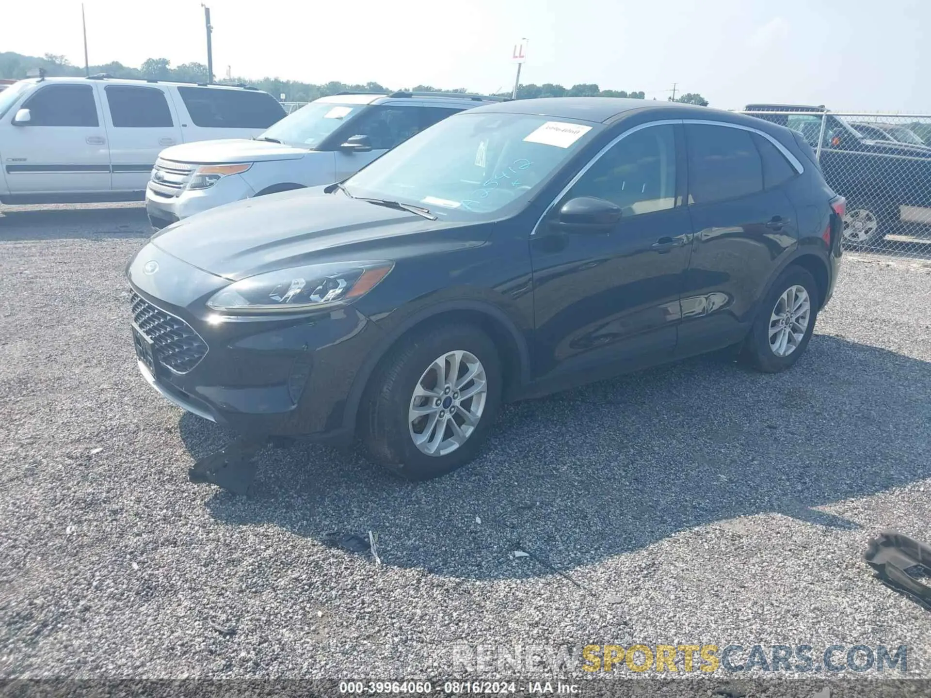 2 Photograph of a damaged car 1FMCU0G68LUA25412 FORD ESCAPE 2020