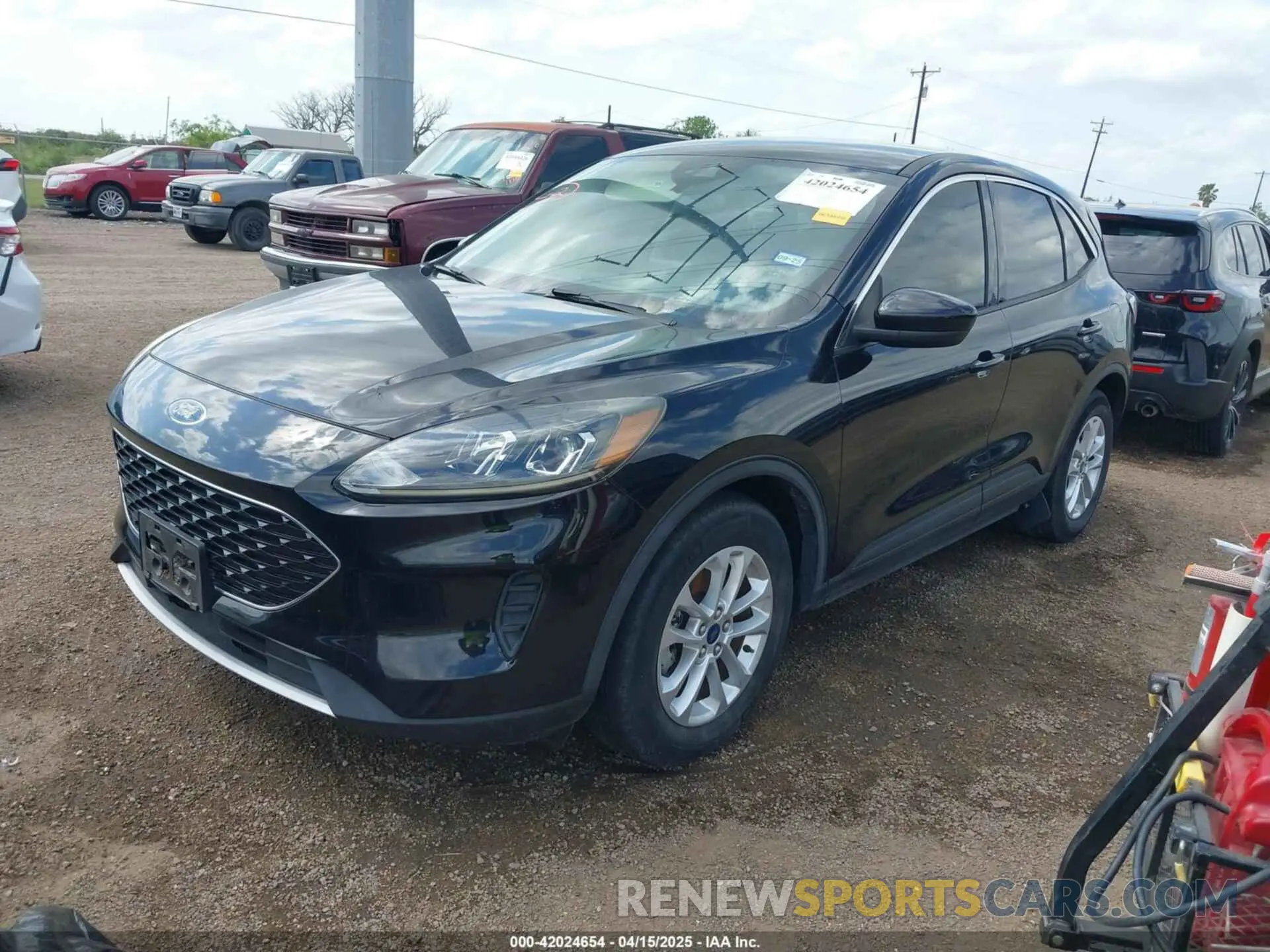 2 Photograph of a damaged car 1FMCU0G68LUA54439 FORD ESCAPE 2020