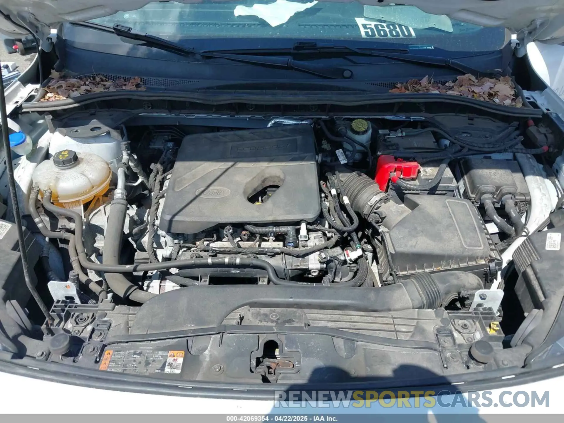 10 Photograph of a damaged car 1FMCU0G68LUB44206 FORD ESCAPE 2020