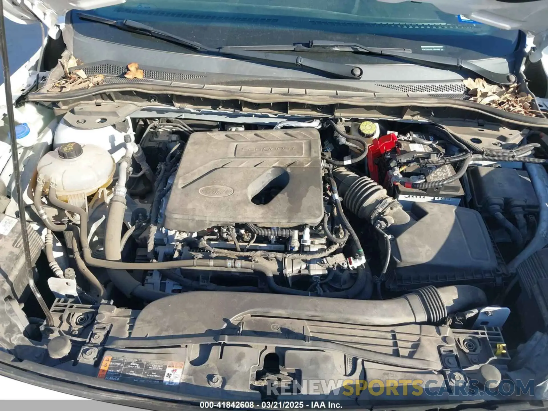 10 Photograph of a damaged car 1FMCU0G68LUB44688 FORD ESCAPE 2020
